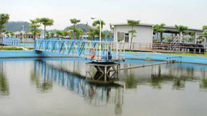 完善的服务体系